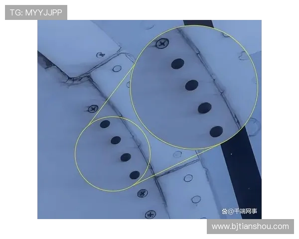 飞机机翼结构的变刚度拓扑优化